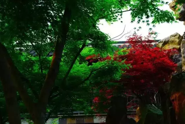 中国的十大园林,你去过几个呢?