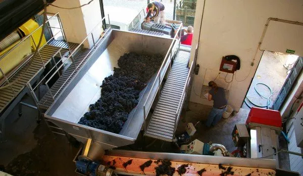 史上最全酿酒全过程详解，建议收藏（多图）