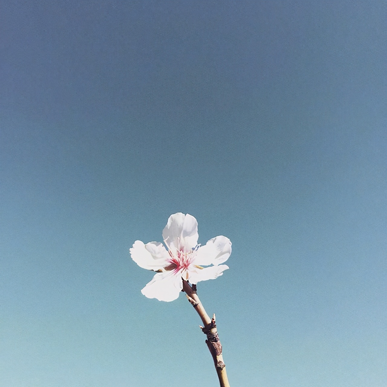 朋友圈很优质的心灵鸡汤，让生活充满希望-第6张图片-非凡网
