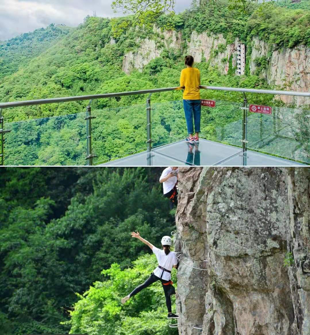 强烈推荐！宁波醉美樱花公路打卡攻略