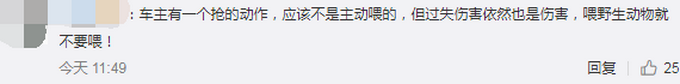 动物园|北京野生动物园游客疑喂动物口罩 被及时制止