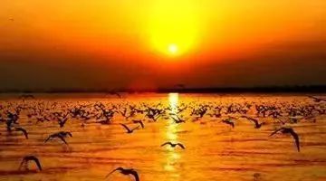 我们大内蒙，究竟“大”在哪里？