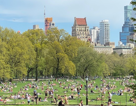 1万多美国人白死了！纽约天气转好，数万人涌入