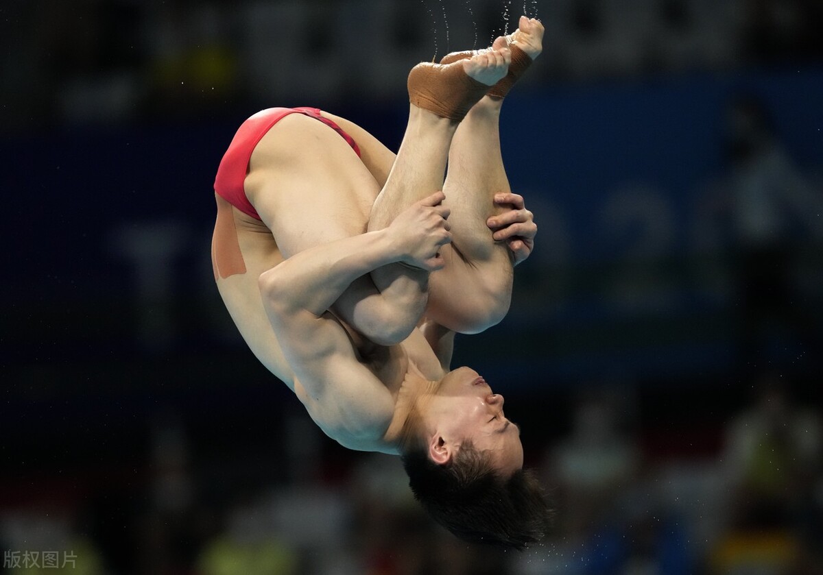 表现近乎完美！谢思埸一路领先夺3米板冠军，王宗源获亚军