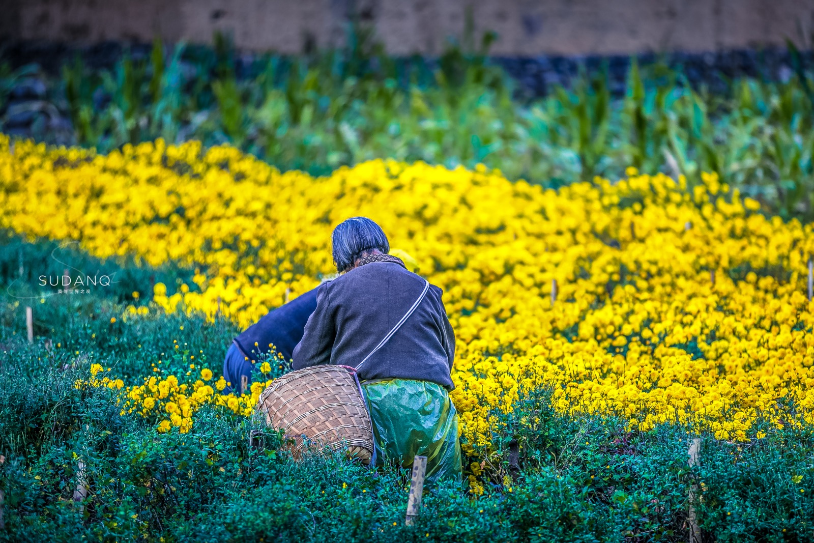 I've been obsessed with my life, I want to go to Huizhou: Recommend an ancient village that you have never heard of