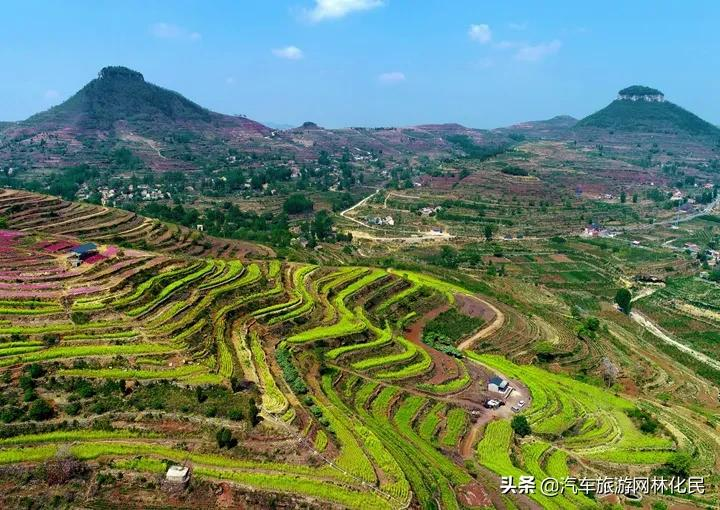 万亩桃花含苞待放，岱崮地貌等你来约