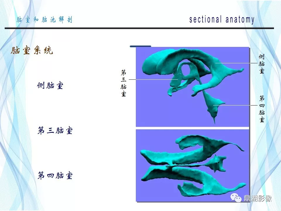 超全详解：脑池和脑室断层解剖