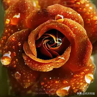 祝福语|正月初十一祝福语图片 一心一意的祝福送给你祝您一生幸福一世平安