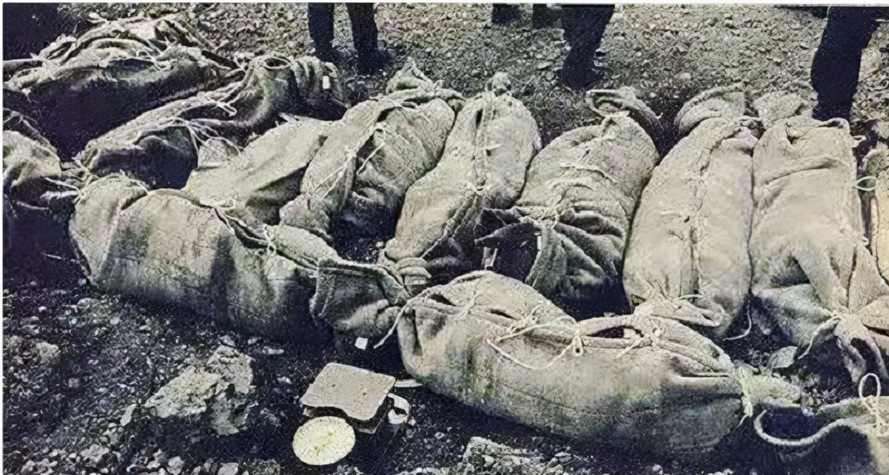 JAL 123 crash: 520 people were killed, just because of the rescue team's "Buddhist" search and rescue?