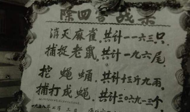福建一男子私藏气枪打麻雀被抓，为国家保护动物，一只300元