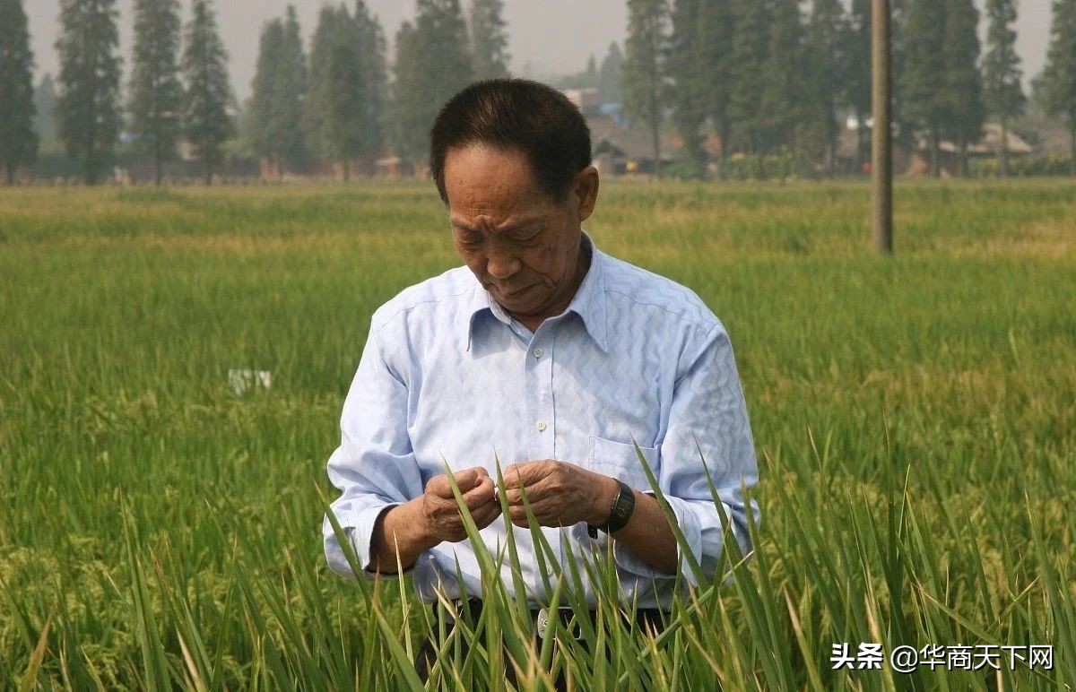 袁老摸豪车住豪宅被辱骂，明星却被捧上神坛，这是不是吃太饱了-第3张图片-大千世界