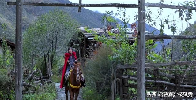 居然为了一句话，一位诗人想为李子柒裸奔