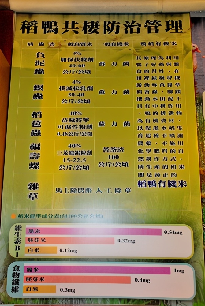 看完博士鸭，变成鸭博士