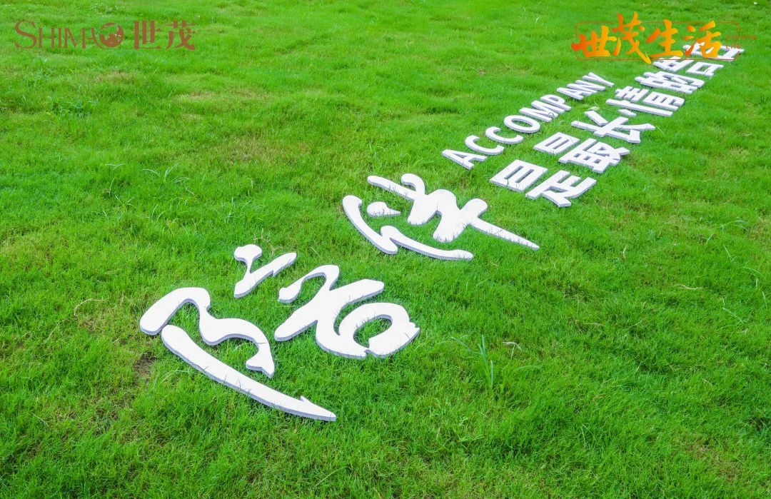 曾经播下的希望种子，此刻已枝繁叶茂