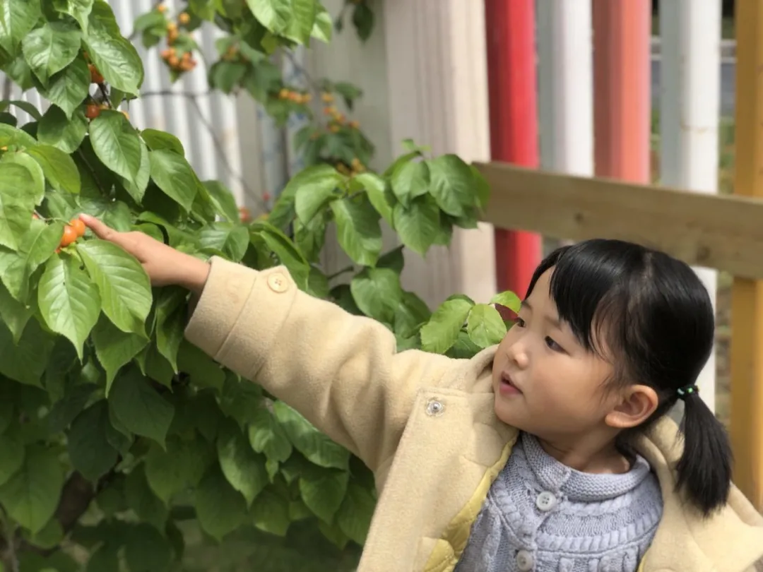 寻春丨 四川天府新区元音幼儿园组织踏春活动