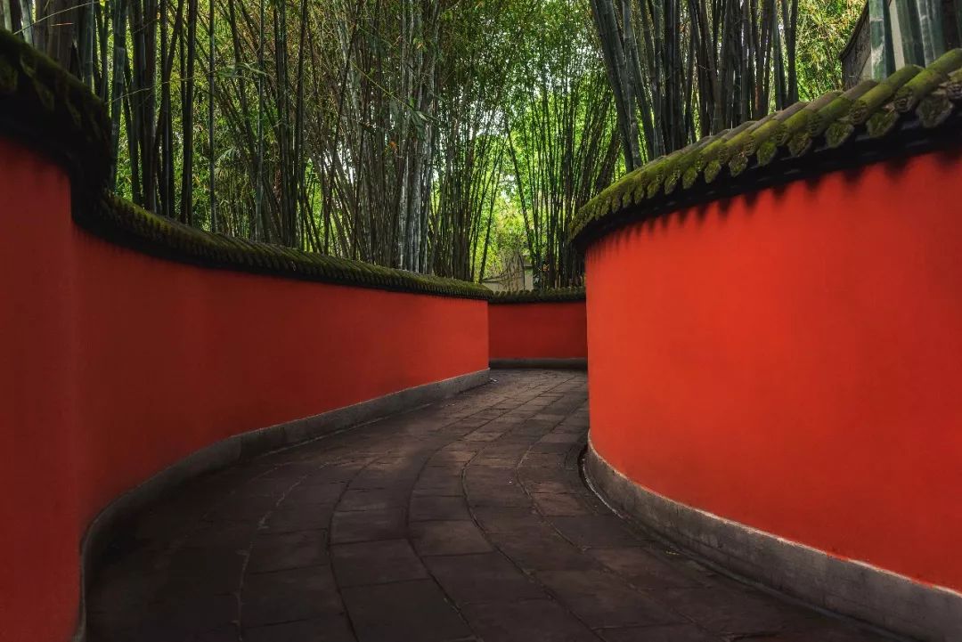 十首励志诗词，不负青春，不负自己-第1张图片-非凡网