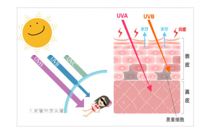 夏季不重视防晒，到底有多可怕？