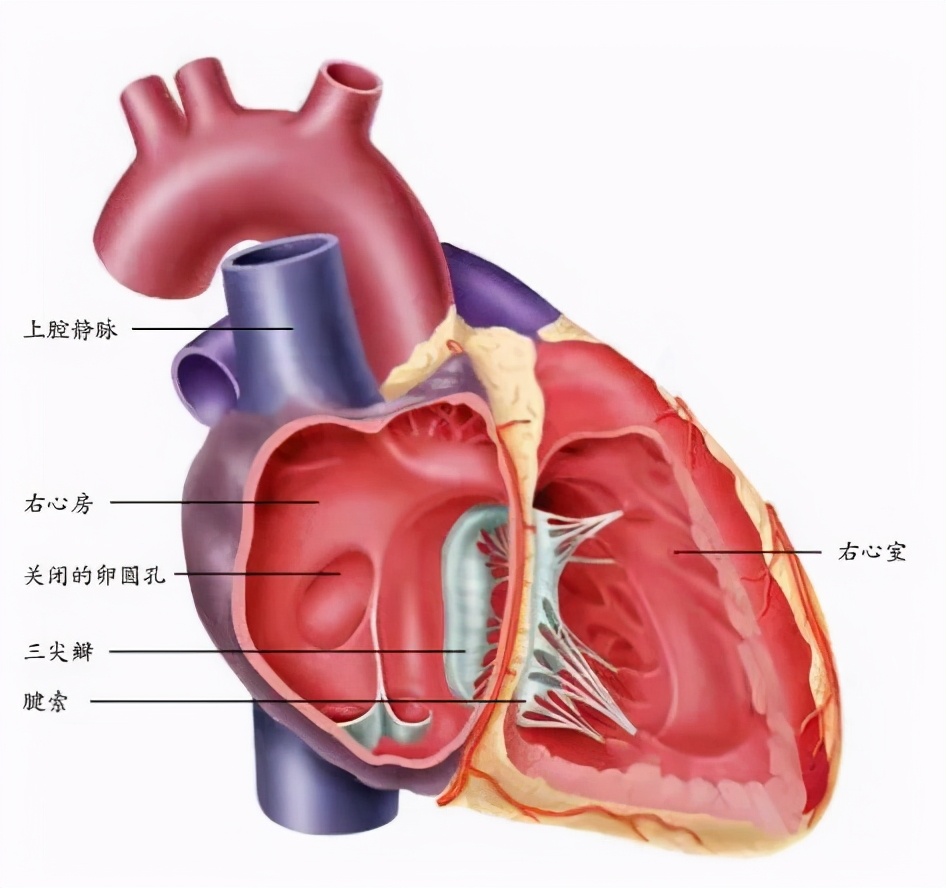 你天然拥有的无价之宝&mdash;&mdash;身体