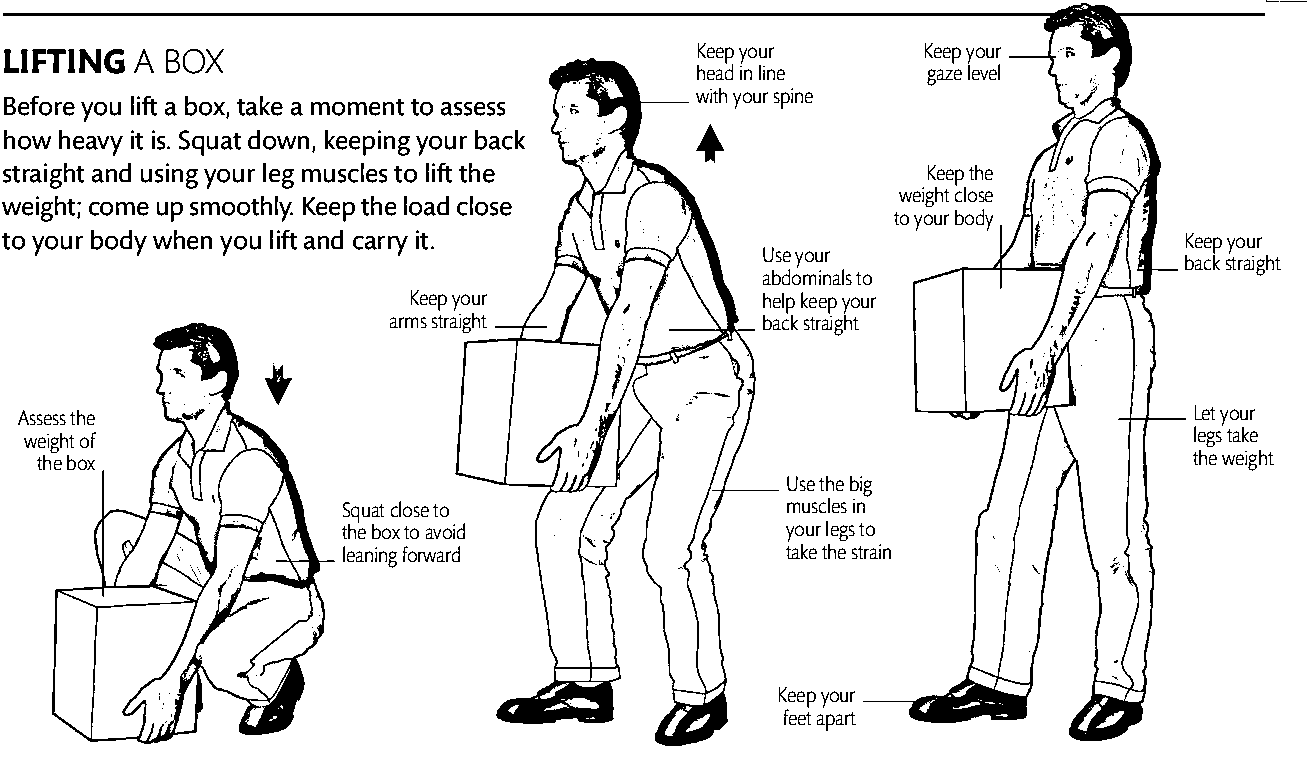 ps:正确弯腰和搬抬重物是预防腰肌劳损和腰椎间盘突出症的重要方法.
