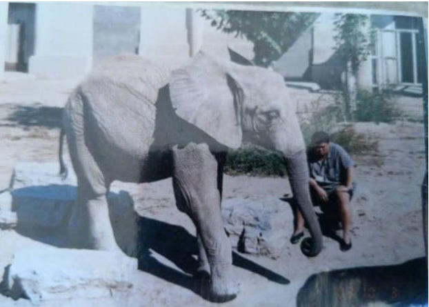 仗义的孙越：为兄弟接受郭德纲邀请，托起岳云