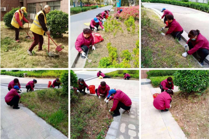 对“重点、难点、痛点、堵点”出硬招！“大小”包联提升城市颜值