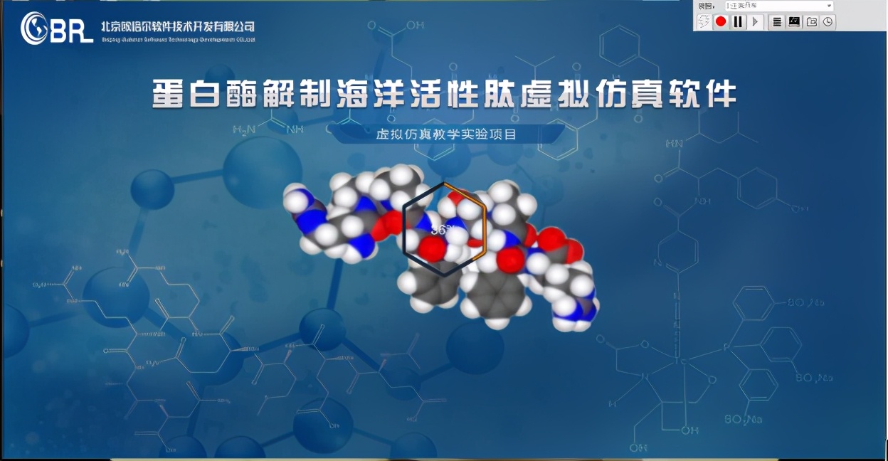 欧倍尔研发蛋白酶解制海洋活性肽仿真软件，助活性肽研究领域发展