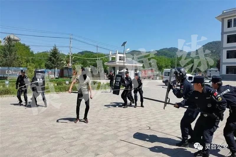 【除隐患，保平安，办实事】电诈下降50%；校园安防演练；暖心救助；我们一直在你身边