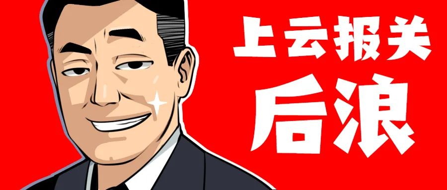 出口德国遇到货物退运怎么办？