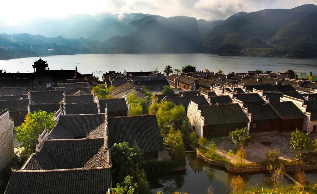 林草科普|中国生物多样性保护 - 重庆林业篇