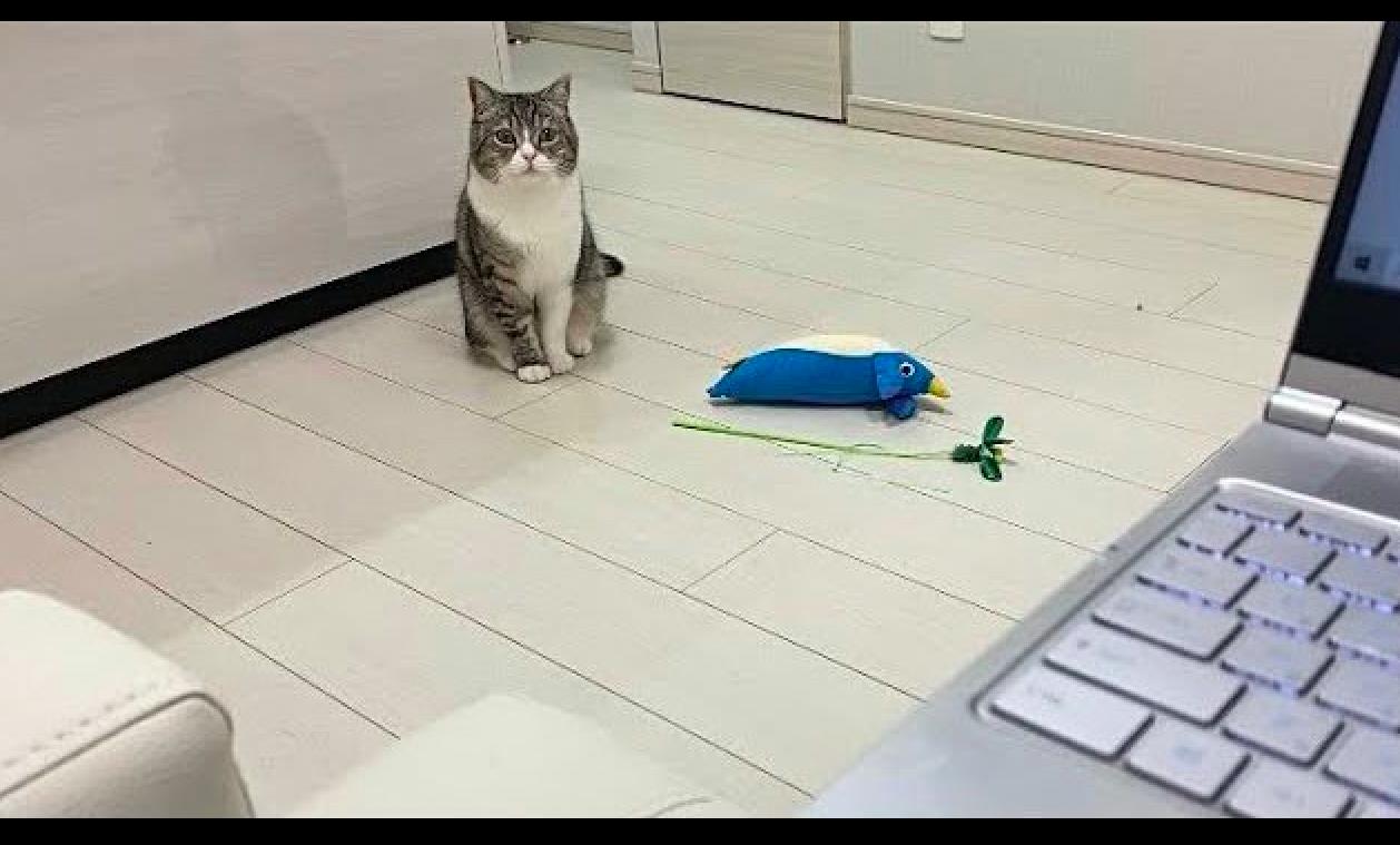 玄関先迄納品 電話 猫脚 多目的棚 - 電話台/ファックス台