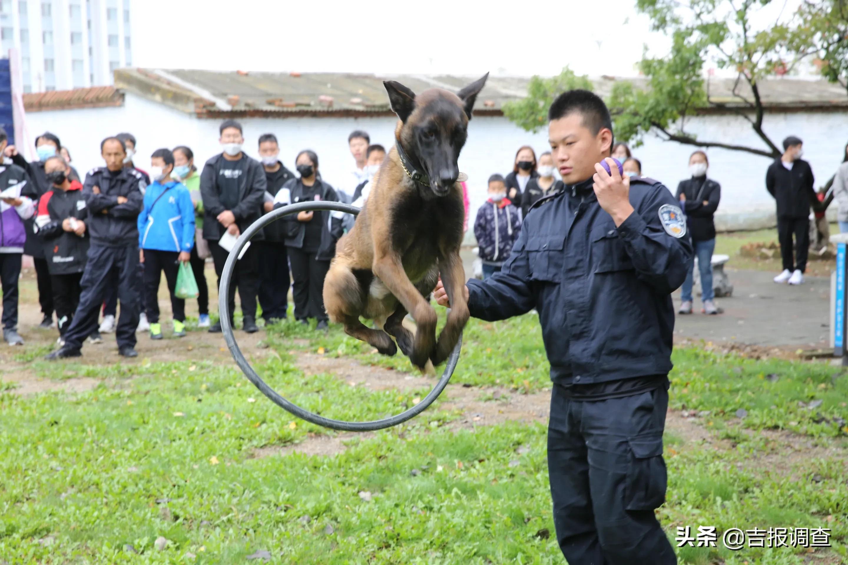 琿春市第五中學(xué)七年一班師生在馬川子(圖4)