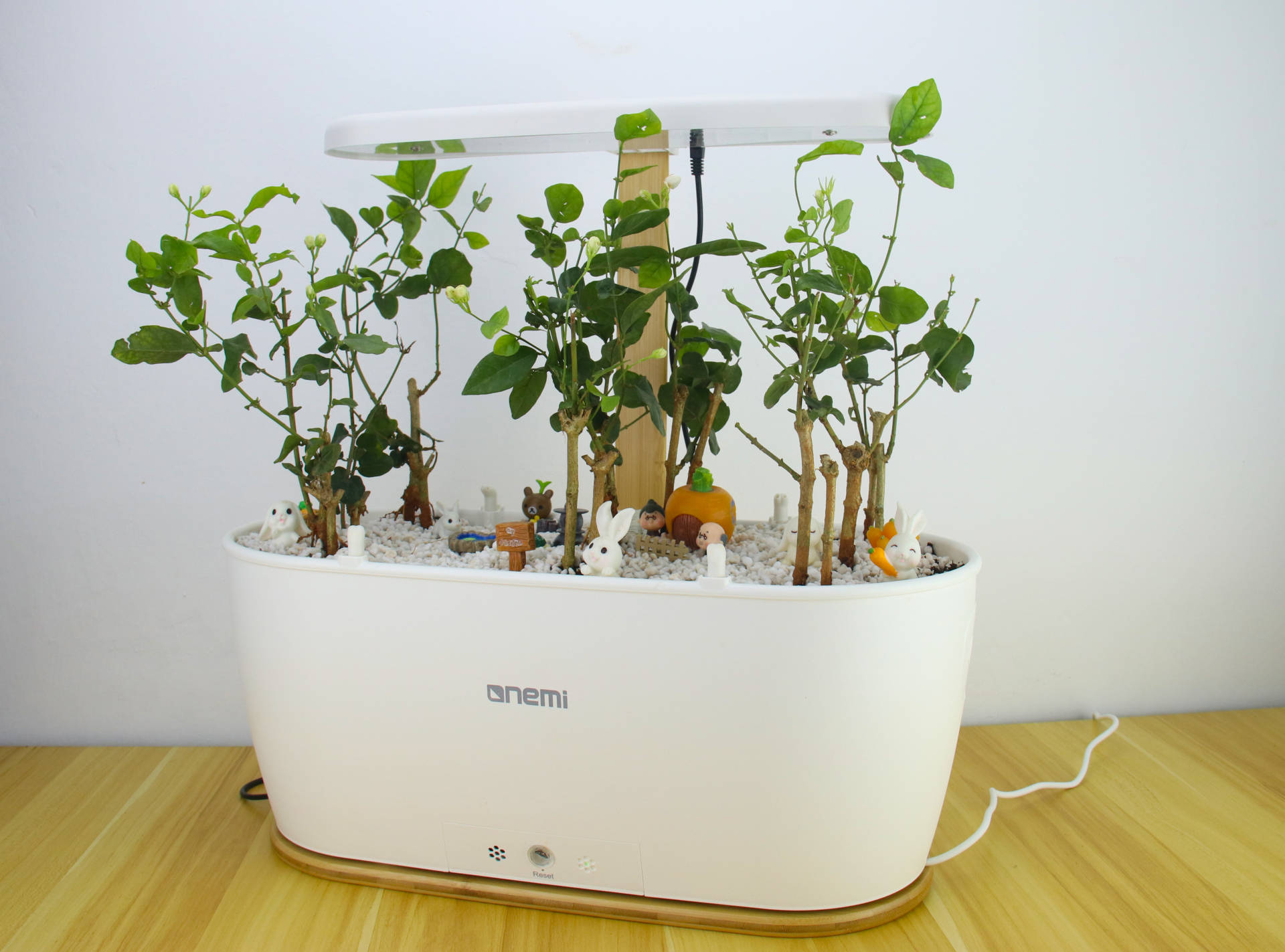 种植可以很简单，一米田智能种植伴侣，从今天起做个幸福的人