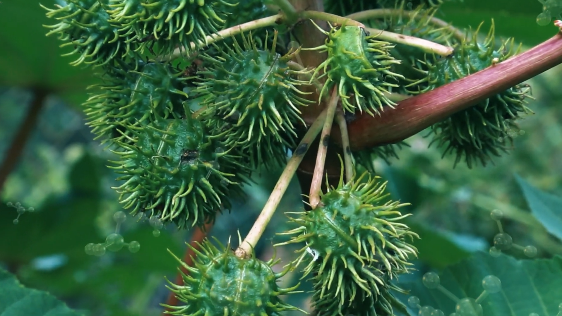 世界上9種致命物質，生活中千萬要注意，盡量離它們遠點