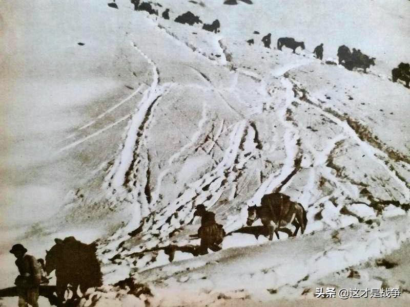 1958年，马步芳的老家发生大暴动，解放军一个团