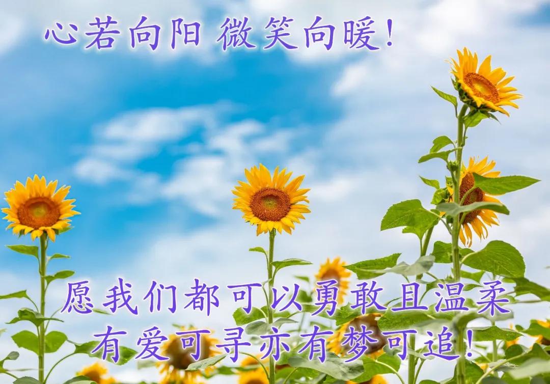 新款早安带字图片，最好看的带花早上好祝福图片图片