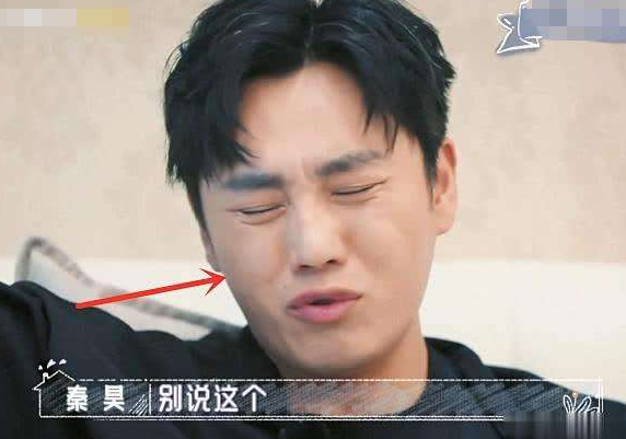 这还是伊能静嘴里木讷嘴笨的秦昊吗？单独上综