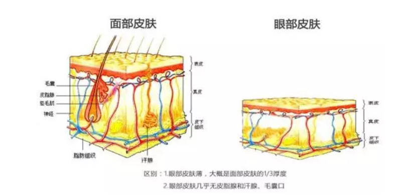 “眼霜”到底有没有用？深扒它的谎言和真相