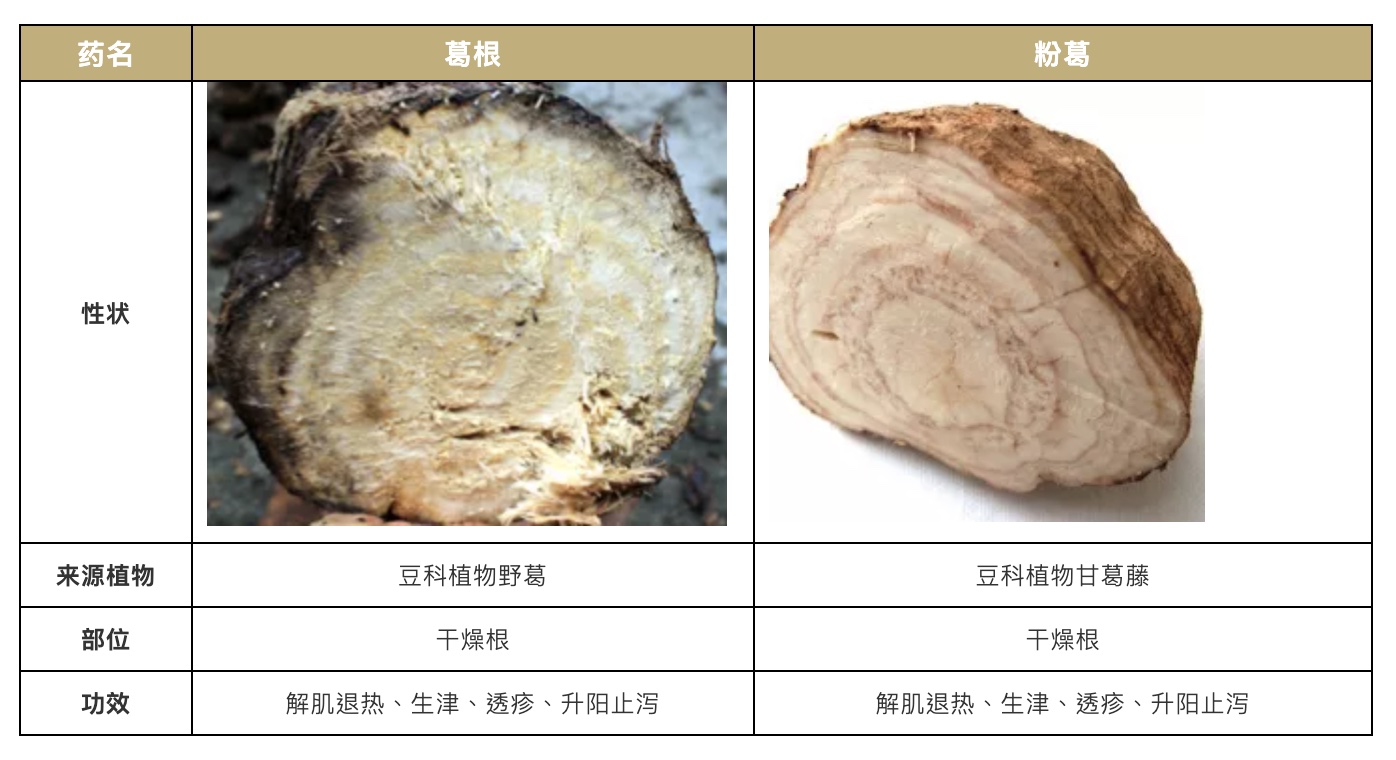 一味治疗颈椎病的好药：解肌升阳话葛根