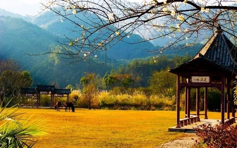 高颜值赏秋民宿推荐,住在山水之间,品韶关最美秋季!还有精彩赛事等你来参加