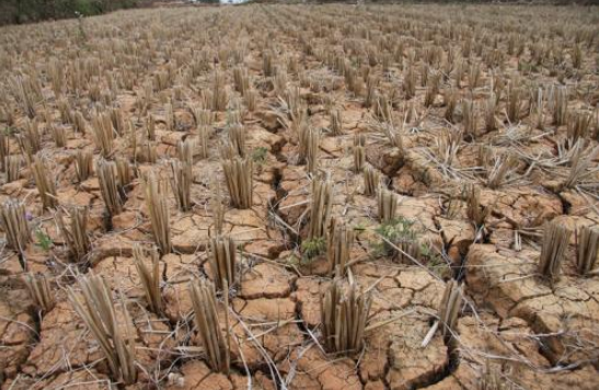 中国遭受的最大天灾，数亿人死亡，不然人口已