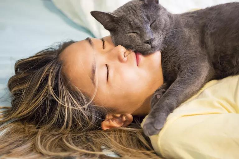 What Does It Mean That Cats Like To Sleep On People INEWS
