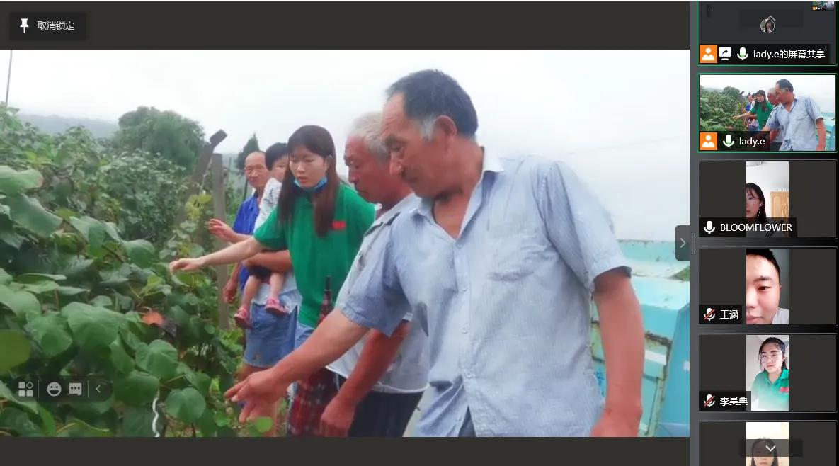 “盛夏燃梦”，小小猕猴桃竟能撬动乡村振兴