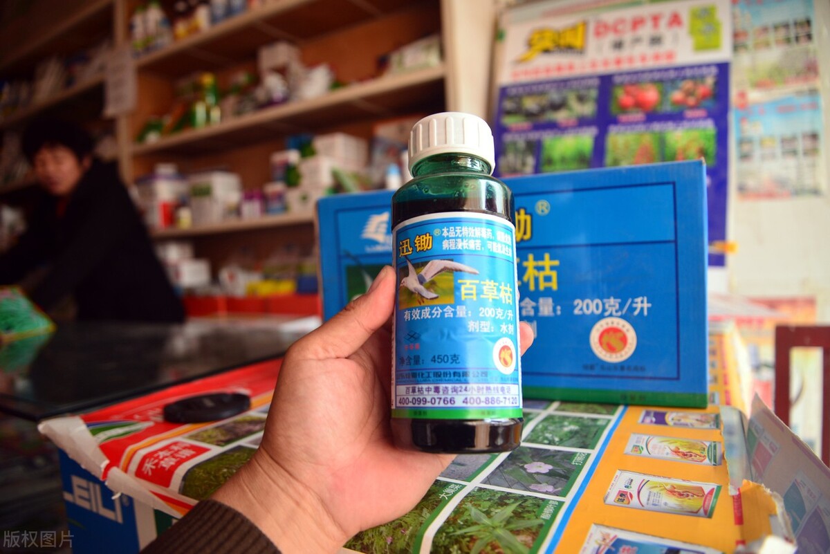 知识科普百草枯被人喝到禁售的产品让它的发明者都深有负罪感