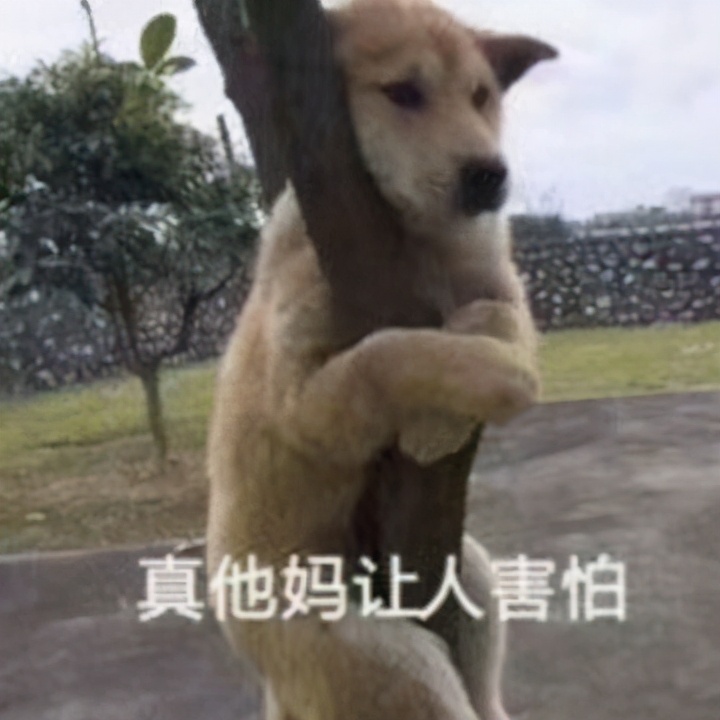 支付宝好医保：拒赔，我们是专业的