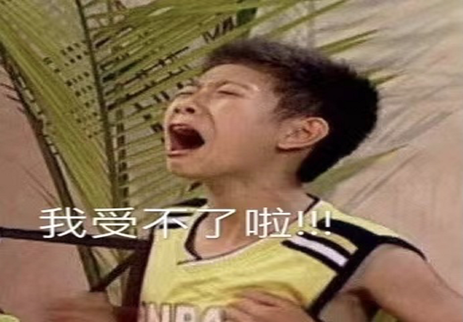 叫陪娃|有一种历劫叫陪娃做功课 岳云鹏辅导女儿数学作业再发灵魂拷问