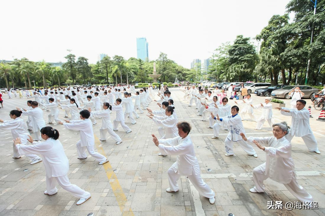 海格堡·第三届世界太极日，邀你和冠军教练一起打太极