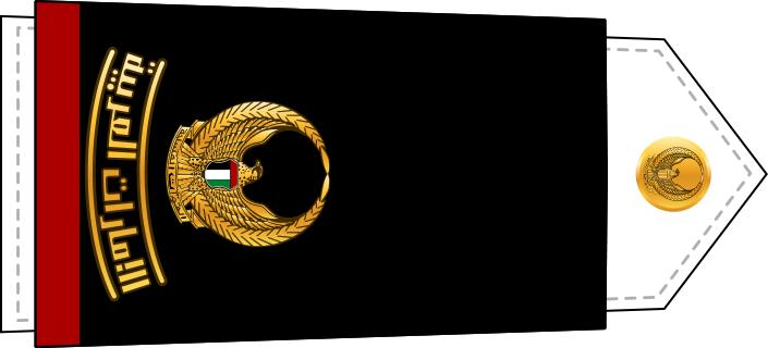 Military rank identification of each country: UAE - iNEWS