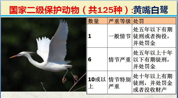 国家最新125类二级野生保护名录，图片及违法对应刑责