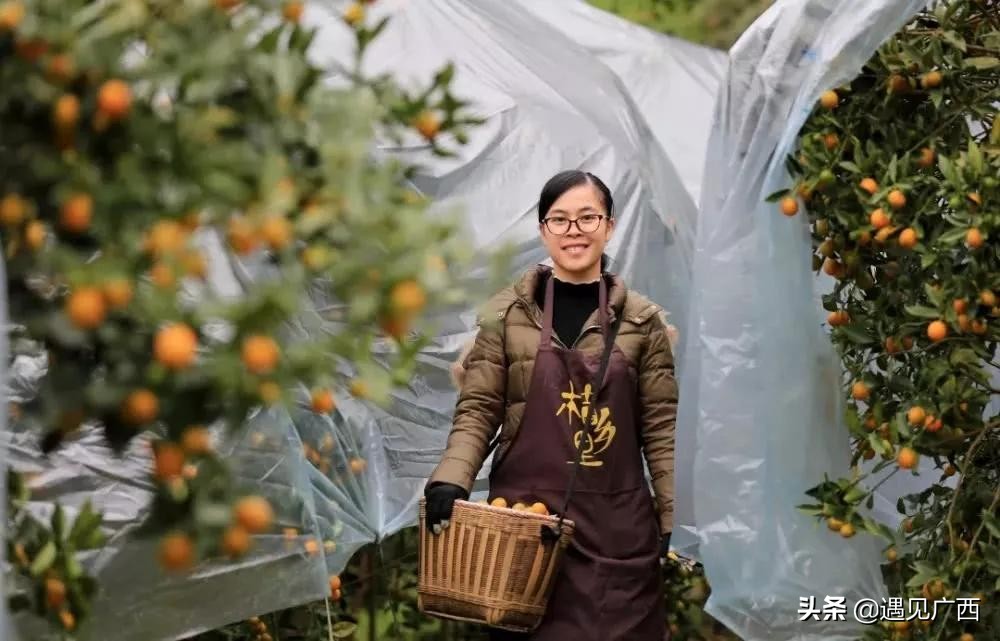 致敬青年农民：把青春写在大地上，你奋斗的样