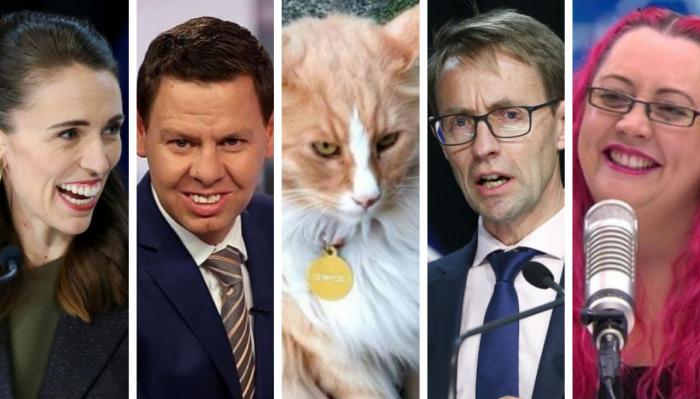 一只散养街头的猫咪成为2020年新西兰年度人物奖的有力竞争者